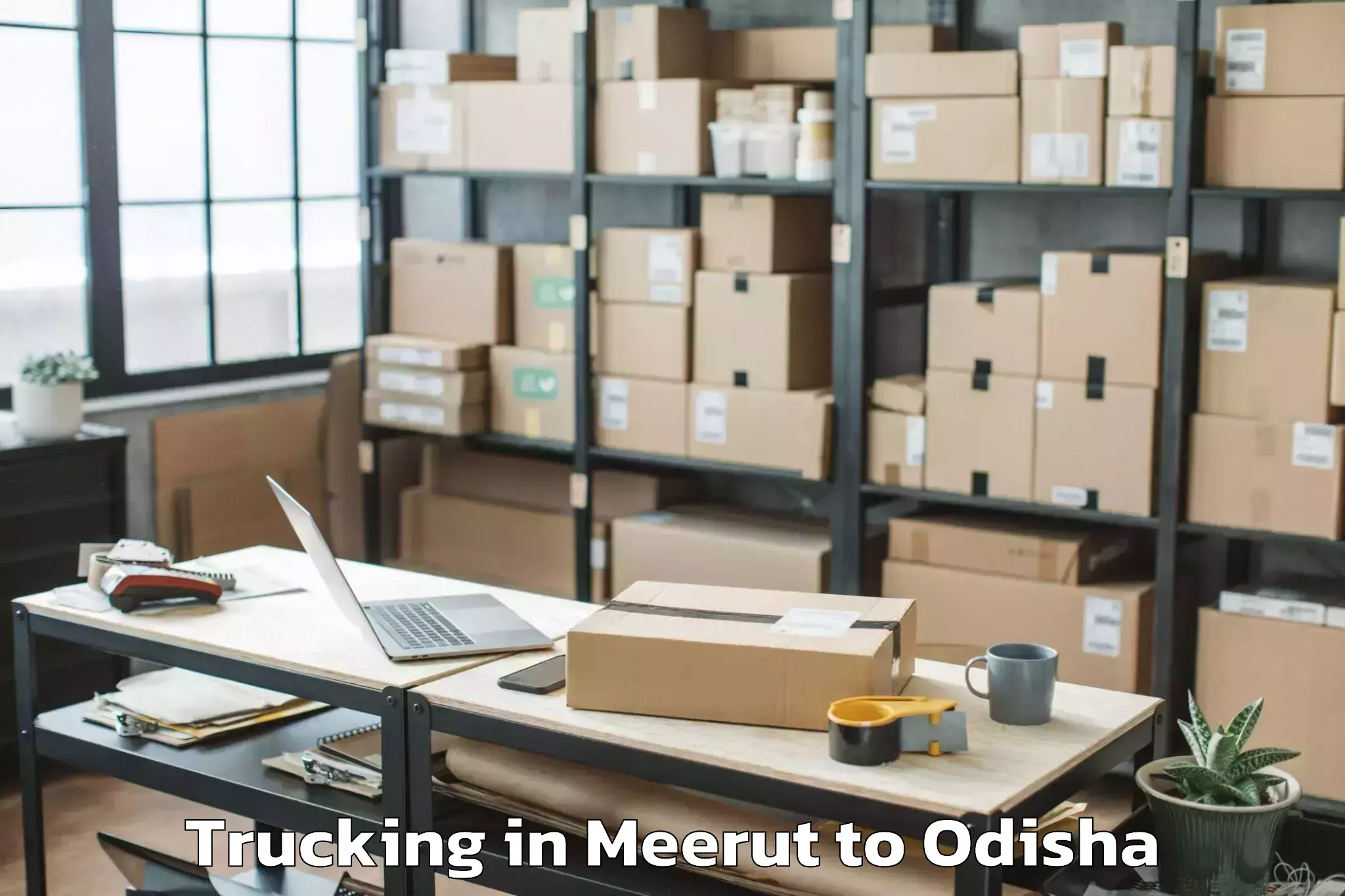 Leading Meerut to Jarapada Trucking Provider